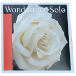 Wondertone Solo violin set